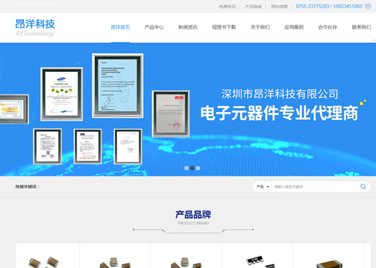 昂洋科技品牌網(wǎng)站建設(shè)