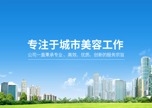 華富市政品牌網(wǎng)站建設(shè)