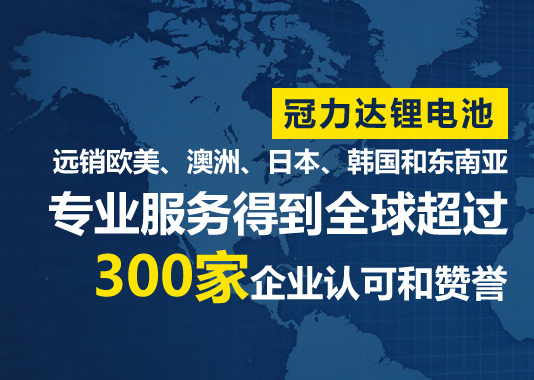 冠力達電子品牌網(wǎng)站建設