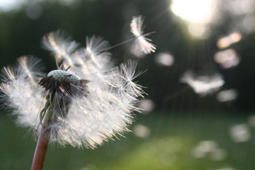 【簽約】品牌網(wǎng)站建設公司國人偉業(yè)簽約*德利環(huán)境科技品牌網(wǎng)站建設